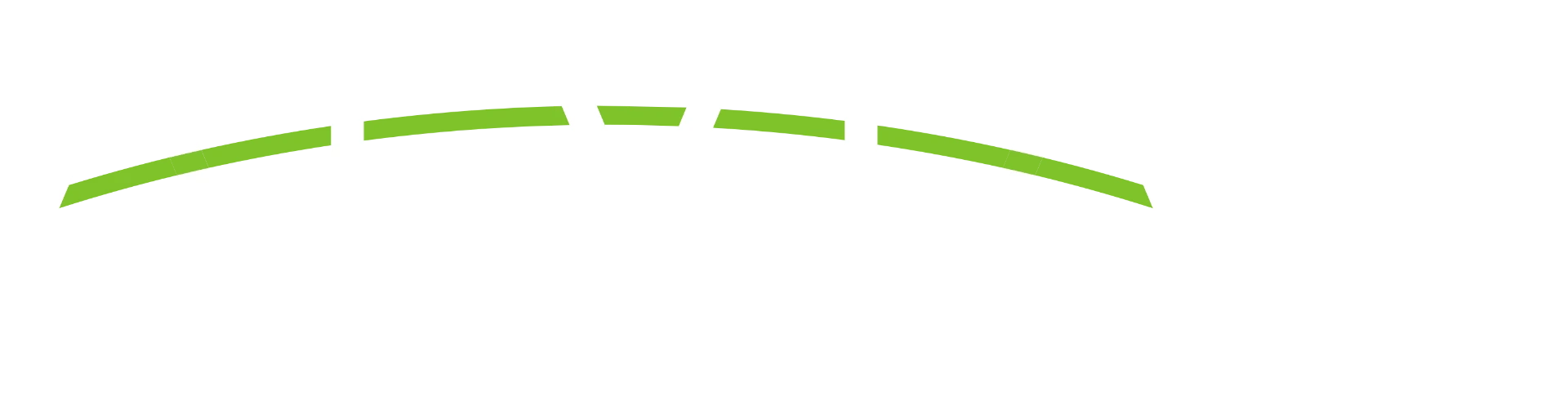 Alvian Networks logo